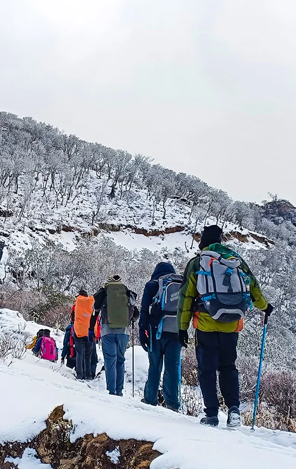 Sandakphu Trek